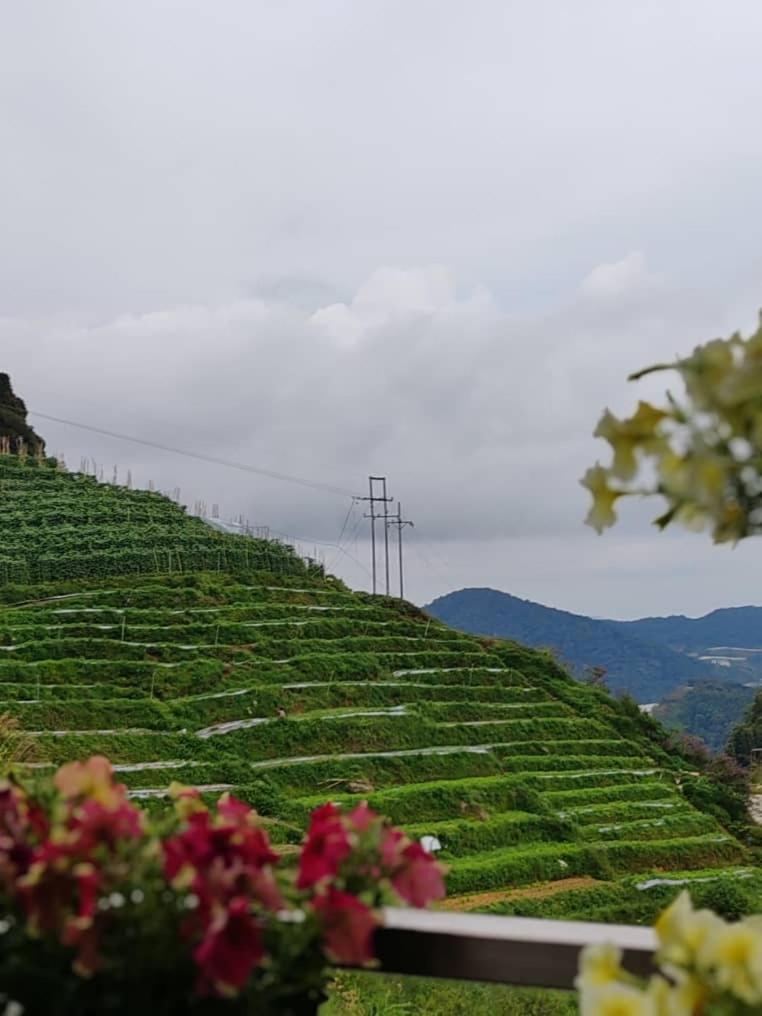 Kensington Sunrise Sg, Palas Horizon,Kea Farm Brinchang Exterior foto